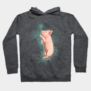 Sleeping Piglet Hoodie